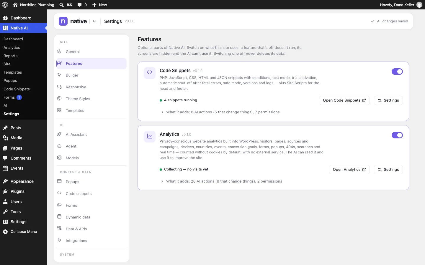Native AI settings: switch optional features like Analytics and Code Snippets on or off